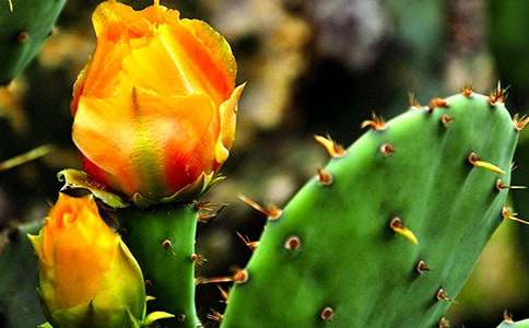 �ҵ����������ġ���(y��u)�㡿