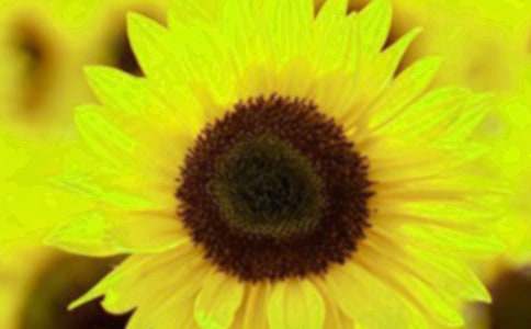 ����(y��u)�㡿���տ�����15ƪ