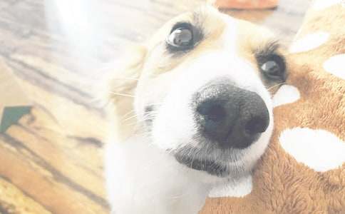 �P(gu��n)���Ҽ�С������500���\��10ƪ