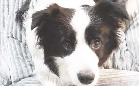 �����x����ϲ�gС��������300�ֺϼ�5ƪ