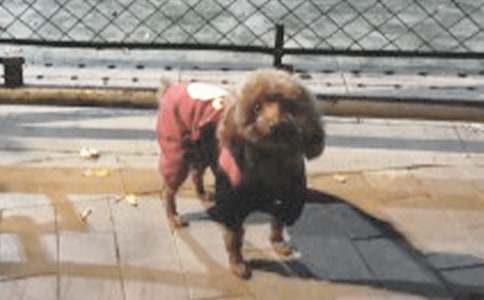 С������300���\����ƪ