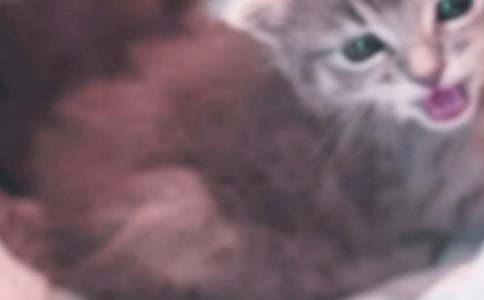 �P(gu��n)��С؈��(y��u)������400�ּ��\10ƪ