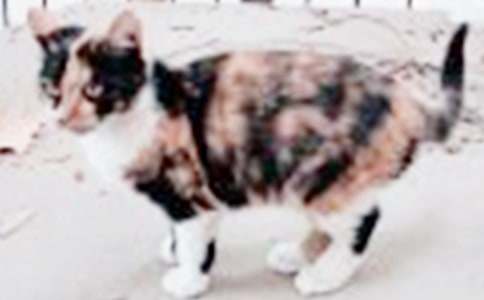 С؈С�W(xu��)���� 15ƪ