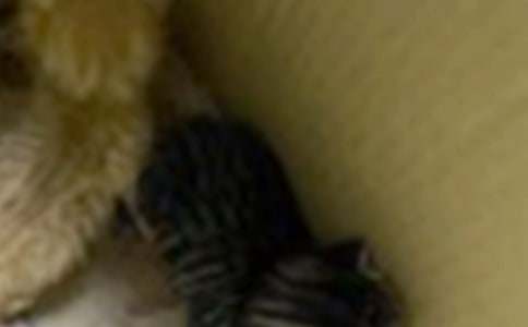 С؈��(y��u)������400���\����ƪ