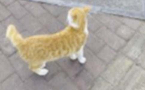 ���P(gu��n)С؈��(y��u)������400�֣����x120ƪ��