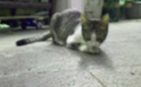 �P(gu��n)��С؈��(y��u)������400�ּ��\��ƪ