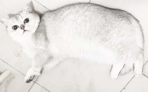 С؈��(y��u)������400�օR����ƪ