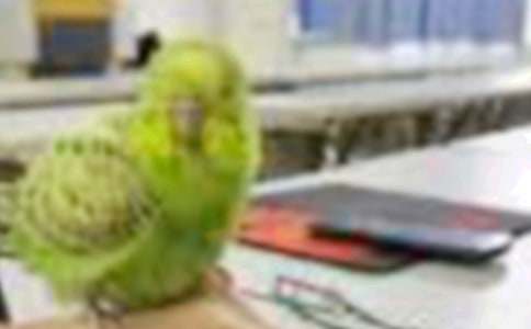 С���w���Α�̰�����׽С�B