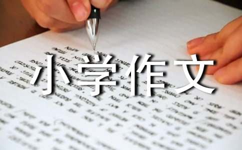 �ɐ۵�؈С�W(xu��)������ƪ