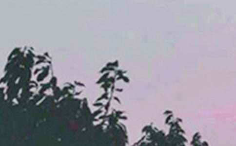 �����á�2023�����õ��簲ף���Z���Ŵ󼯺�50��