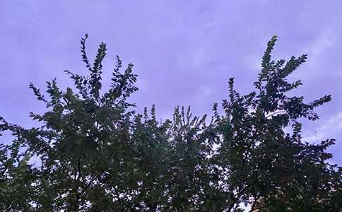 2023�꺆(ji��n)�̵����õ��簲ף���Z(y��)���ż��\53�l