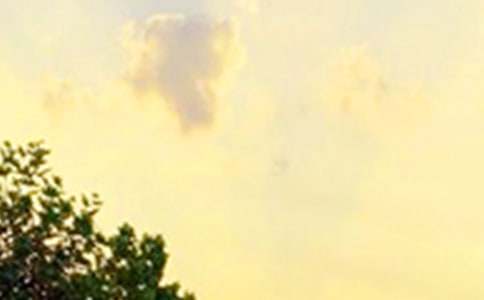 2023�꺆�̵����õ��簲ף���Z���ż��\47�l