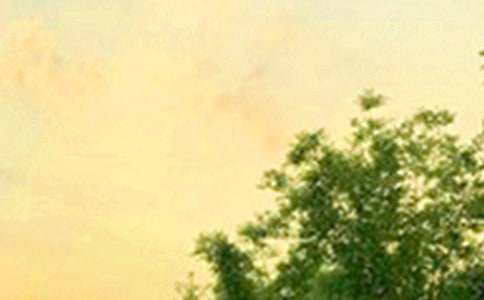 2024�꺆�ε����õ��簲΢��ף���Z18�l