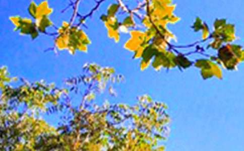 ���P(gu��n)���õ��簲ף���Z���ŅR��46�l