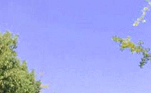 �����]��2021�����õ��簲ף���Z���ż��\30�l