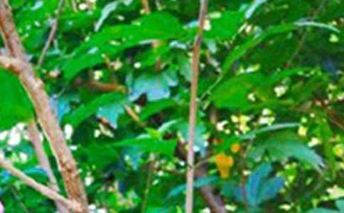 ����(sh��)�á����õ��簲ף���Z(y��)����16��