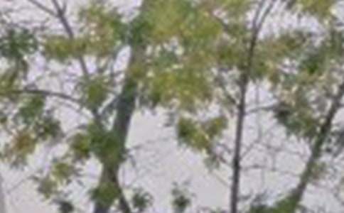 ���̵����õ��簲ף���Z����29��