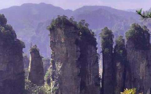 ���ҽ�֮������15ƪ(��(y��u)��)