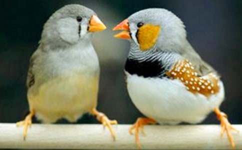 С�W�Z�Ľ̰��������B��