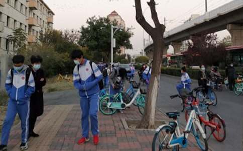 【實用】我是中學(xué)生作文集錦九篇