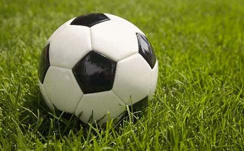 ���������ģ���(y��u)��15ƪ��