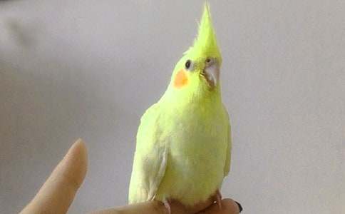 �W�^����