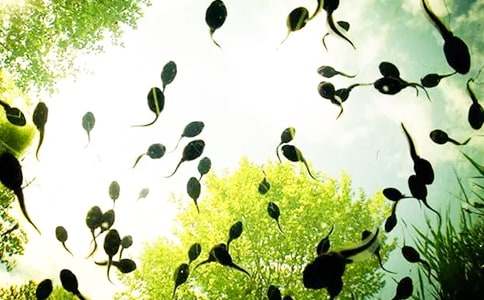 С����ҋ�����(y��u)��̰�