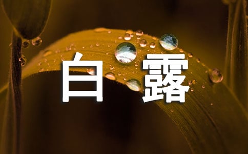 白露的經(jīng)典詩句280句