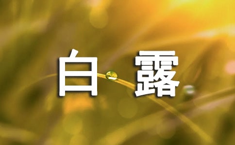白露問(wèn)候祝福短信(精選600句)