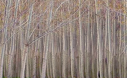 �ח����������