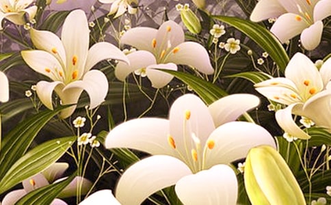 �x�������ϵİٺϻ����и�