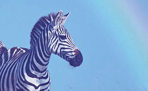 ���R������15ƪ����(y��u)�x��