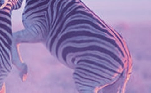 ���R�~���L(f��ng)ˮ�W(xu��)��(y��ng)��-���R�~���~�ה[��λ��