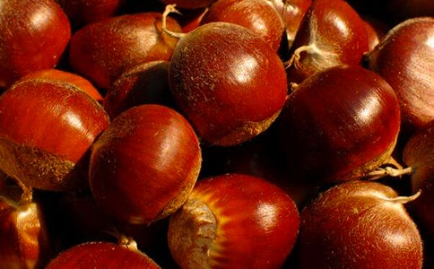 板栗燒肉的做法大全