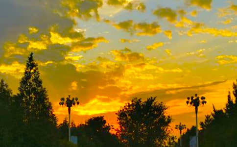 �����T������r������5ƪ