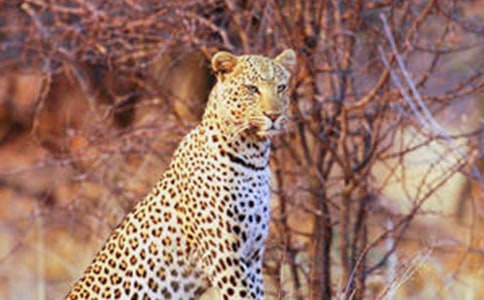 ���ӵ�����