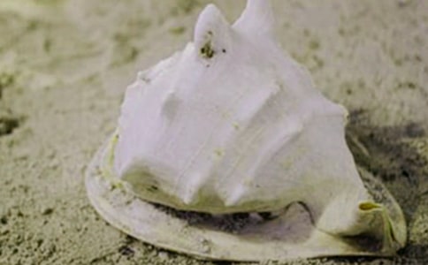 �ǂ�Ů����׃��ؐ����ɫ������