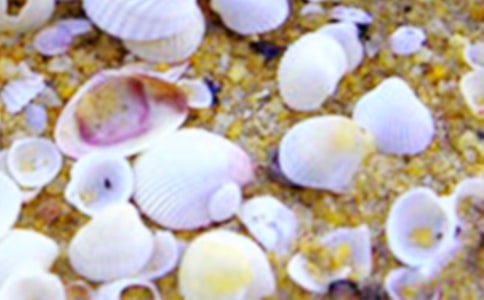 �P(gu��n)��ؐ����ʲô�ľ���