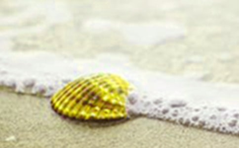 ���õ�ؐ��������ƪ