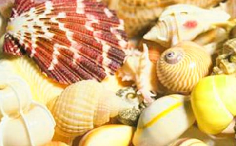 ؐ������ -����