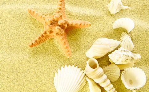 ؐ���Ĺ���