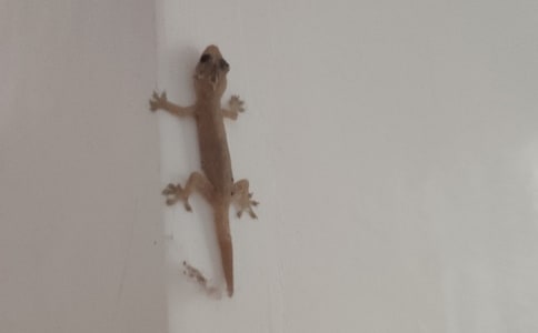 (��(j��ng)��)С�ڻ���β������