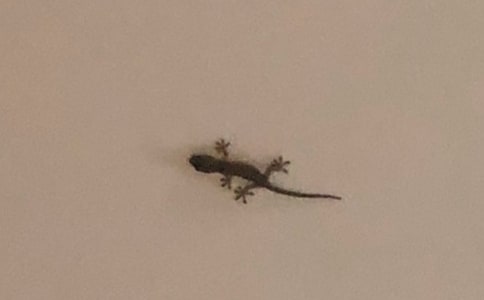 С�ڻ���β������11ƪ(���A)