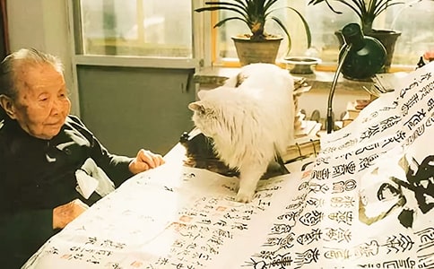 冰心散文集讀后感7篇