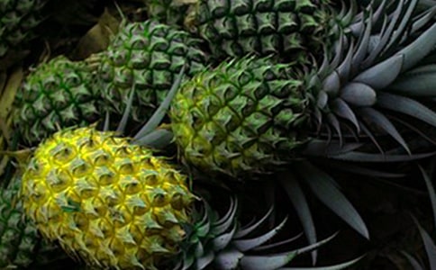 怎樣快速削去菠蘿皮?如何削菠蘿皮小妙招