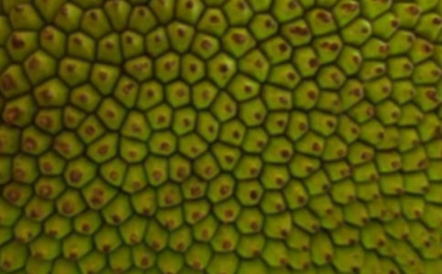 ���}����ʲô�I�B(y��ng)