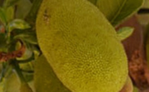 ���؂䡿���}������20ƪ