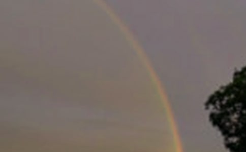 ���еĲʺ����ąR��[13ƪ]