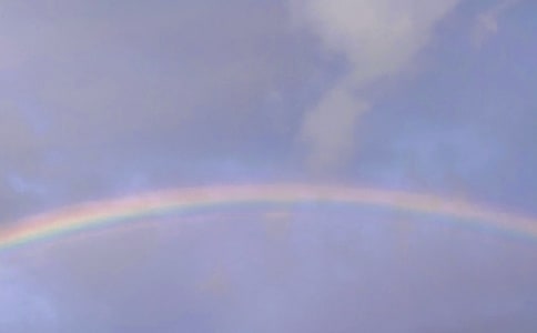 �ʺ���������