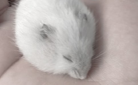 �}(c��ng)���^����ӛ